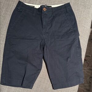 Hollister Men's Navy Flat Front Chino Shorts